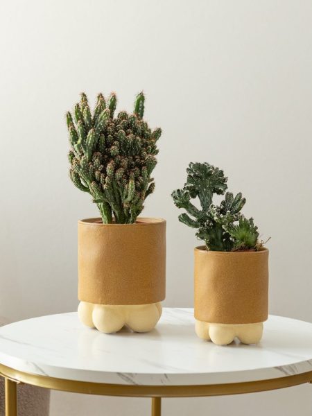 Alternative view of Set Cactus Design